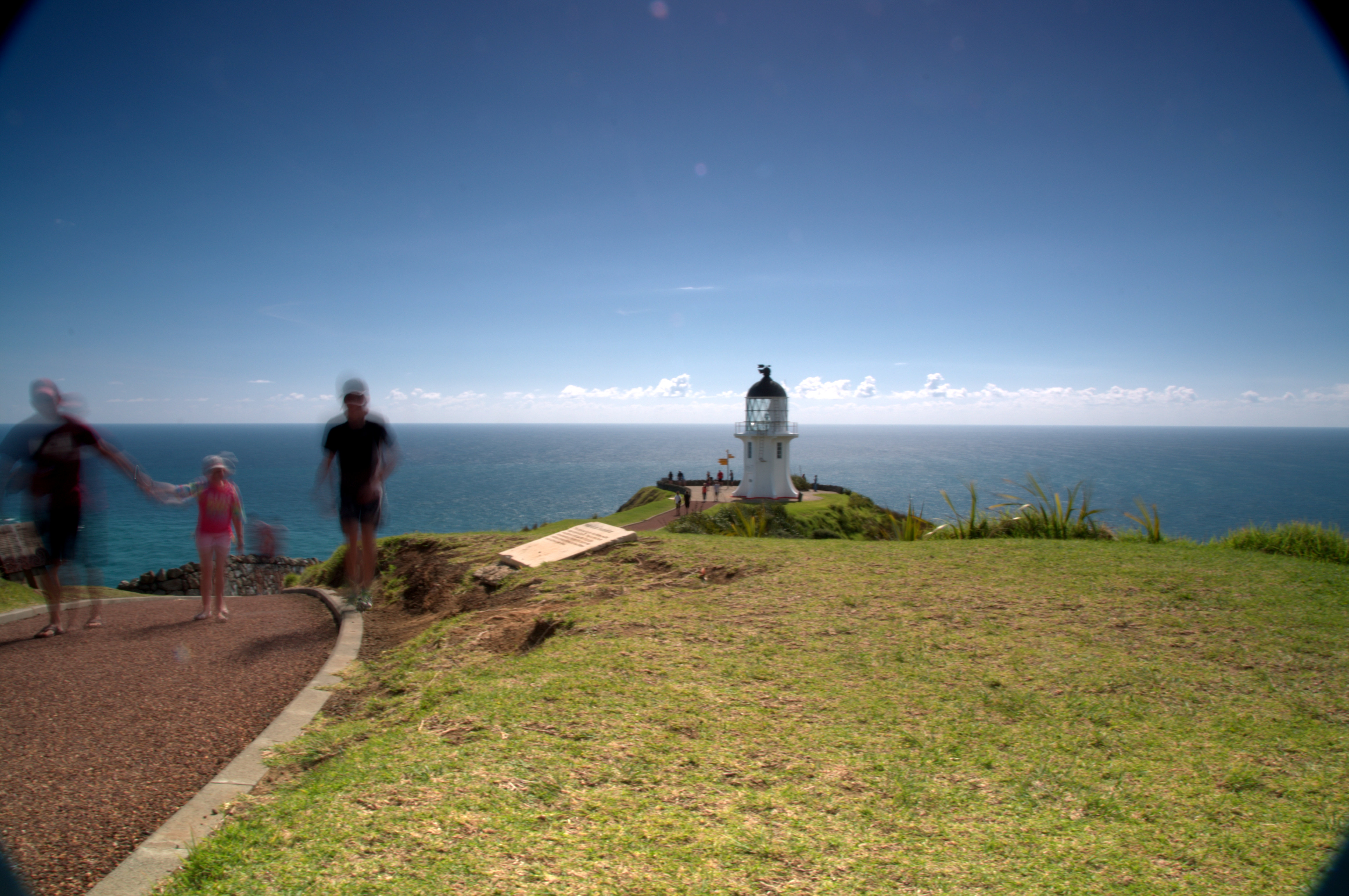 New Zealand Light